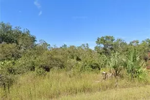 3005 Louis Ave, Alva, FL 33920 - Photo 2