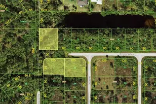 13006 Devereaux Ave, Port Charlotte, FL 33953 - Photo 1