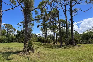 3728 Mango St, Saint James City, FL 33956 - Photo 6