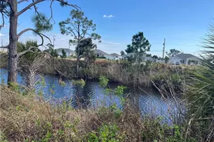 1010 NE 44th Ln, Cape Coral, FL 33909 - Photo 1