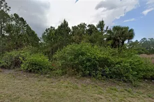 816 Fitch Ave, Lehigh Acres, FL 33972 - Photo 2