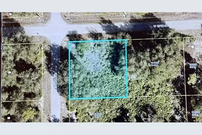 1107 W 15th St, Lehigh Acres, FL 33972 - Photo 2