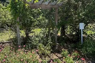 9950 Sailview Ct, Fort Myers, FL 33905 - Photo 26