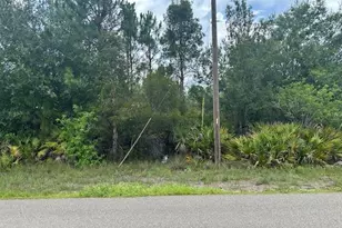 921 Robert Ave, Lehigh Acres, FL 33936 - Photo 1