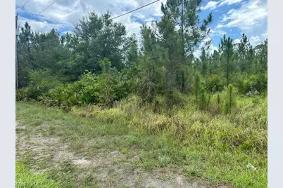 921 Robert Ave, Lehigh Acres, FL 33936 - Photo 2