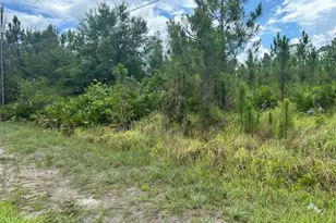 921 Robert Ave, Lehigh Acres, FL 33936 - Photo 2