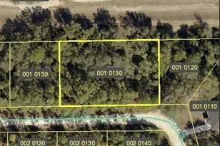 4235 E 31st St, Alva, FL 33920 - Photo 1