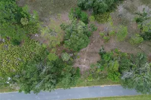 14492 Rowan Ave, Port Charlotte, FL 33953 - Photo 1
