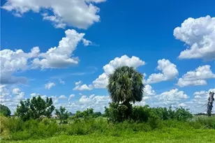 319 NW 11th Terrace, Cape Coral, FL 33993 - Photo 2