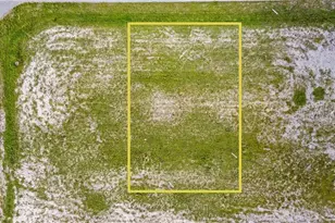 4426 NW 32nd St, Cape Coral, FL 33993 - Photo 1