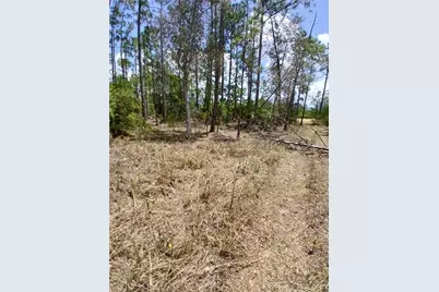 2142 Winnetka Dr, Lehigh Acres, FL 33972 - Photo 2