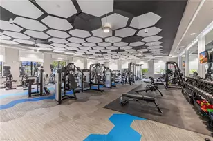 28689 Montecristo Loop, Bonita Springs, FL 34135 - Photo 38