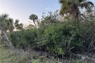 4187 36th Ave SE, Naples, FL 34117 - Photo 1