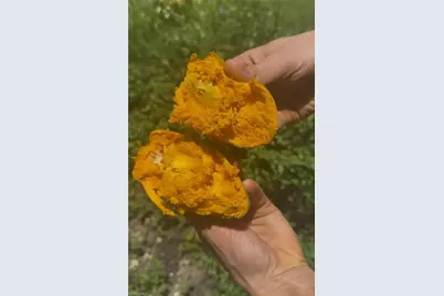 2432 54th Ave NE, Naples, FL 34120 - Photo 8