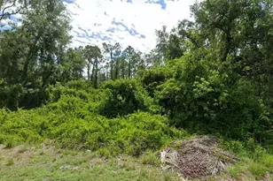 1860 Maurice Ave, Lehigh Acres, FL 33972 - Photo 1