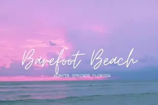 [Address not provided], Bonita Springs, FL 34135 - Photo 50