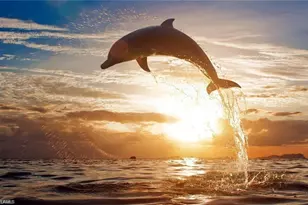 19851 Breckenridge Dr, Estero, FL 33928 - Photo 42