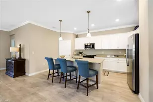 19724 The Pl Blvd, Estero, FL 33928 - Photo 8