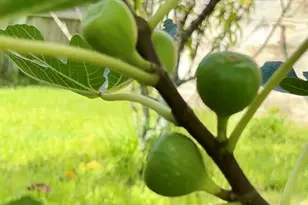 2201 Howard Rd, Labelle, FL 33935 - Photo 12