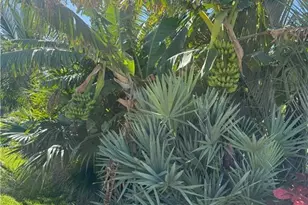 119 Flame Vine Dr, Naples, FL 34110 - Photo 20