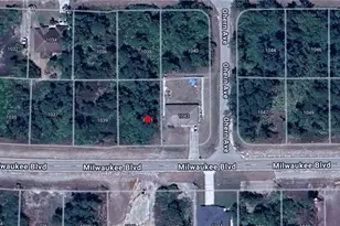 1041 Milwaukee Blvd, Lehigh Acres, FL 33974 - Photo 1