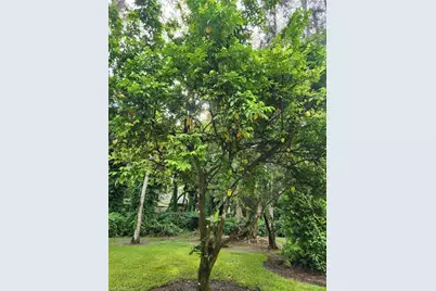 5930 Spanish Oaks Ln, Naples, FL 34119 - Photo 34