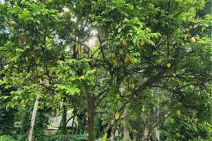 5930 Spanish Oaks Ln, Naples, FL 34119 - Photo 34