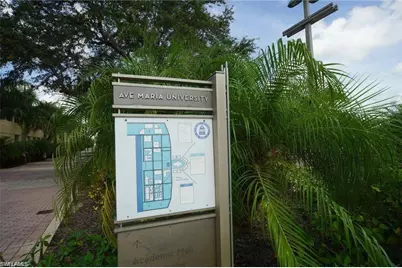 6011 Ellerston Way #811, Ave Maria, FL 34142 - Photo 48