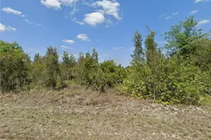 3002 58th St W, Lehigh Acres, FL 33971 - Photo 1