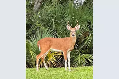 7615 Arbor Lakes Ct #433, Naples, FL 34112 - Photo 36