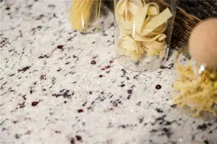 19752 The Pl Blvd, Estero, FL 33928 - Photo 6