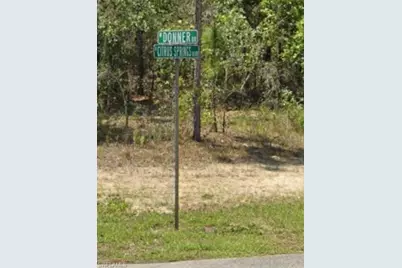 1511 W Donner Dr, Citrus Springs, FL 34434 - Photo 2