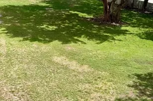 3910 Inverrary Blvd, Lauderhill, FL 33319 - Photo 18