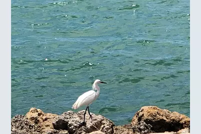 410 Cristobal St, Naples, FL 34113 - Photo 28