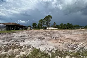 1046 Norfolk Ave S, Lehigh Acres, FL 33974 - Photo 1