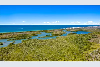 1001 Arbor Lake Dr #1203, Naples, FL 34110 - Photo 46