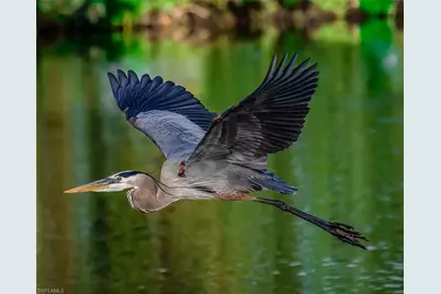 12531 Colliers Reserve Dr, Naples, FL 34110 - Photo 42