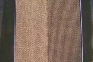 321 Imperial Wilderness Blvd, Naples, FL 34114 - Photo 34