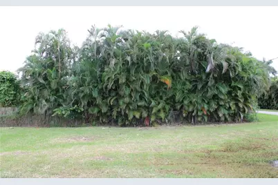 6 Spoonbill Ave, Everglades City, FL 34139 - Photo 8