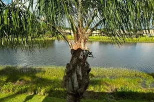 19990 Barletta Ln, Estero, FL 33928 - Photo 14