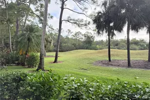 28119 Tamberine Ct, Bonita Springs, FL 34135 - Photo 38