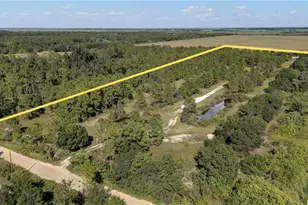 47310 Bermont Rd, Punta Gorda, FL 33982 - Photo 1