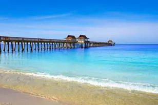 9820 Giaveno Cir, Naples, FL 34113 - Photo 32