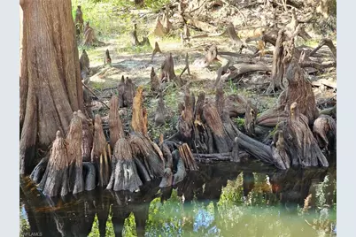 12025 Carpenter Ln, Bonita Springs, FL 34135 - Photo 40