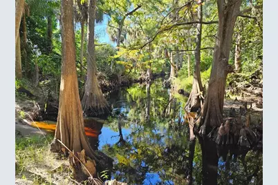 12025 Carpenter Ln, Bonita Springs, FL 34135 - Photo 44