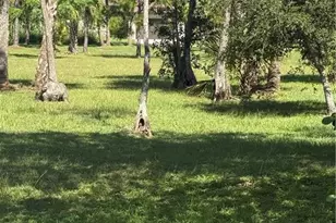 2735 12th Ave NE, Naples, FL 34120 - Photo 22