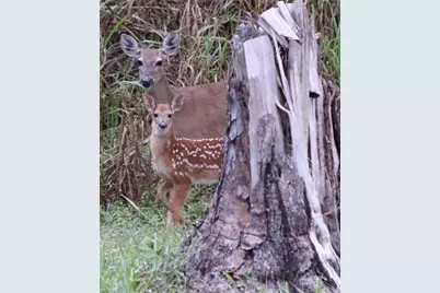 611 8th St SE, Naples, FL 34117 - Photo 28