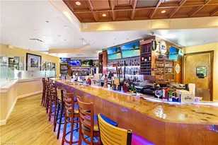 28773 Xenon Way, Bonita Springs, FL 34135 - Photo 42