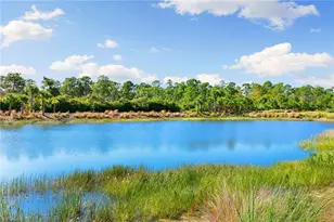 6585 Dominica Dr, Naples, FL 34113 - Photo 30