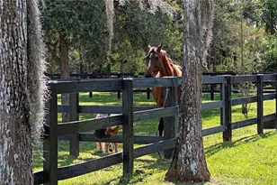 6920 Daniels Rd, Naples, FL 34109 - Photo 22